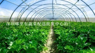 深圳哪里有蔬菜配送批发中心的?