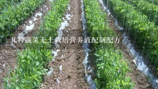 几种蔬菜无土栽培营养液配制配方