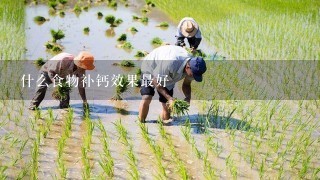 什么食物补钙效果最好