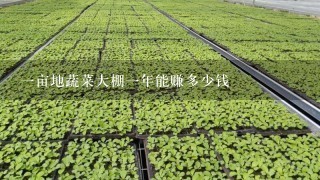 1亩地蔬菜大棚1年能赚多少钱