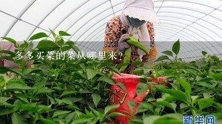 多多买菜的菜从哪里来？