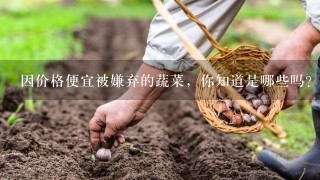 因价格便宜被嫌弃的蔬菜，你知道是哪些吗？