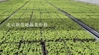 北京新发地蔬菜价格