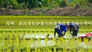 郑州、武汉及长沙最大的蔬菜批发市场分别叫什么名字？