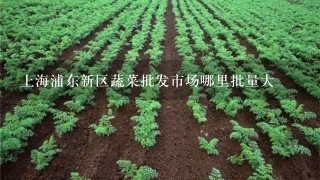 上海浦东新区蔬菜批发市场哪里批量大