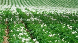 请问，多年生蔬菜？在