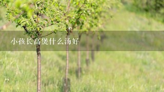 小孩长高煲什么汤好