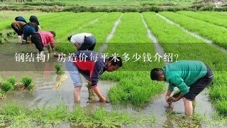 钢结构厂房造价每平米多少钱介绍？