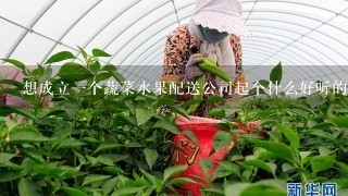 想成立1个蔬菜水果配送公司起个什么好听的名字？