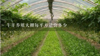 牛羊养殖大棚每平方造价多少