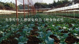 冬季吃什么增强免疫力 5种食物必吃