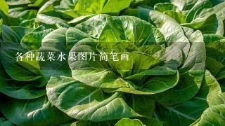 各种蔬菜水果图片简笔画