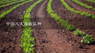 中国8大辣椒品种
