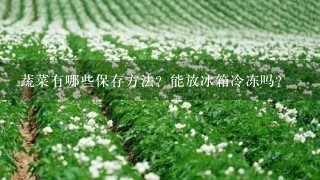 蔬菜有哪些保存方法？能放冰箱冷冻吗？