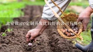 北京做app定制开发比较好的公司有哪些