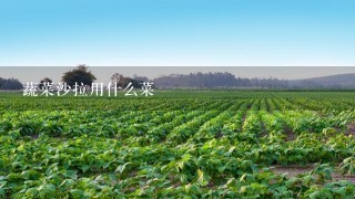 蔬菜沙拉用什么菜