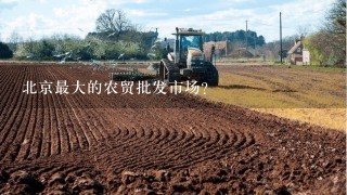 北京最大的农贸批发市场？