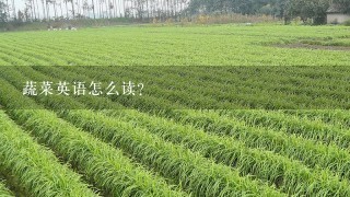 蔬菜英语怎么读?