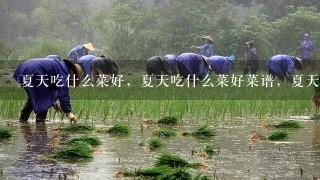 夏天吃什么菜好，夏天吃什么菜好菜谱，夏天吃什么好