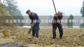 北京新发地菜市场有卖铁棍山药和薏米吗？急