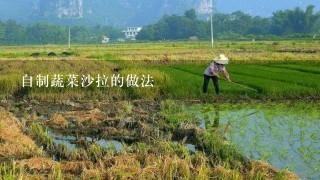 自制蔬菜沙拉的做法