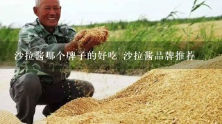 沙拉酱哪个牌子的好吃 沙拉酱品牌推荐