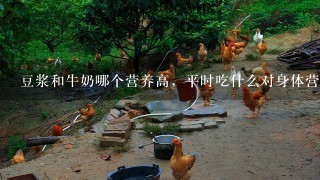 豆浆和牛奶哪个营养高，平时吃什么对身体营养价值最高