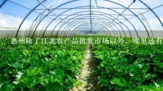 惠州除了江北农产品批发市场以外，哪里还有蔬菜批发