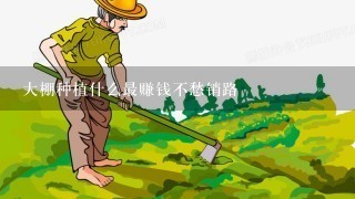 大棚种植什么最赚钱不愁销路