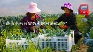 蔬菜水果百货买卖的网站或app？