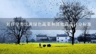 刘群分类法黄绿色蔬菜和其他蔬菜区分标准