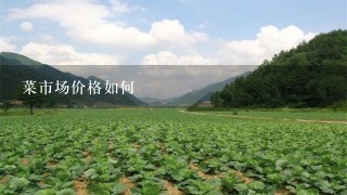 菜市场价格如何