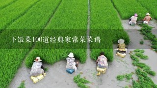 下饭菜100道经典家常菜菜谱