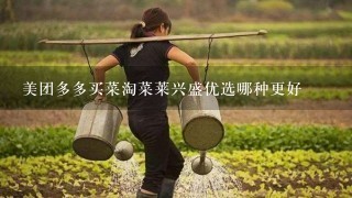 美团多多买菜淘菜莱兴盛优选哪种更好