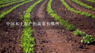 中国本土原产的蔬菜有哪些?