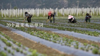 20个蔬菜英语单词