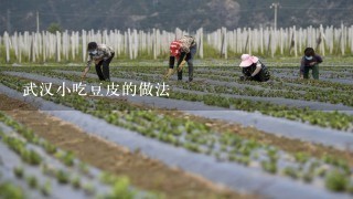 武汉小吃豆皮的做法