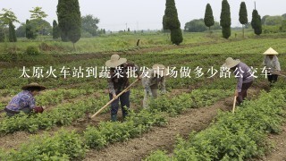 太原火车站到蔬菜批发市场做多少路公交车