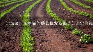 运城菜市场里面的蘑菇批发商都是怎么定价钱的?为什么互相不认识价钱都能统1?