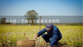 公主岭2手捷达车轮胎有卖的吗