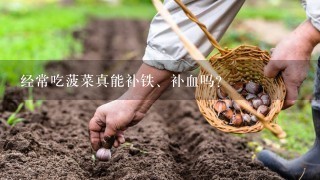 经常吃菠菜真能补铁、补血吗？