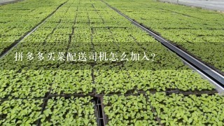 拼多多买菜配送司机怎么加入？