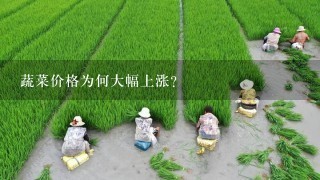 蔬菜价格为何大幅上涨？