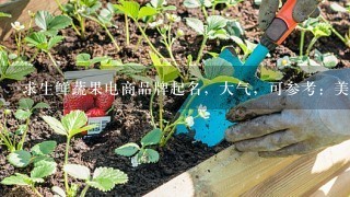 求生鲜蔬果电商品牌起名，大气，可参考：美味7<br/>7、易果生鲜、菜管家、本来生活、厨易时代