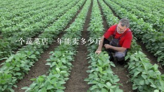 1个蔬菜店1年能卖多少斤