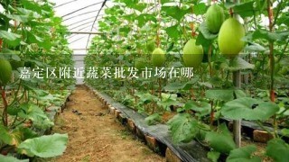 嘉定区附近蔬菜批发市场在哪