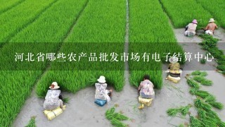 河北省哪些农产品批发市场有电子结算中心