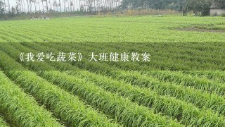 《我爱吃蔬菜》大班健康教案