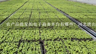 农产品批发的电子商务平台有哪些？河北唐山做大白菜批发有没有效果呀？