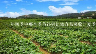 1年4季中哪个季节补钙比较容易吸收？夏季补钙可以吗？